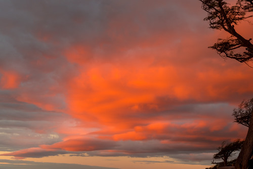 timaukel magallanesylaantárticachile chile kiltro lagoblanco tree lenga clouds red orange sky nature landscape sunset dusk glow wind magallanes tierradelfuego silhouette