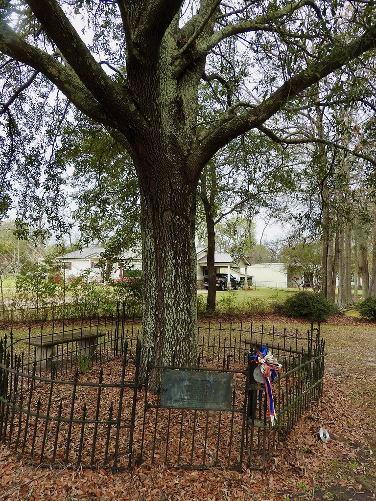 A tree that owns itself in Eufaula, Alabama. Photo by howderfamily.com; (CC BY-NC-SA 2.0)