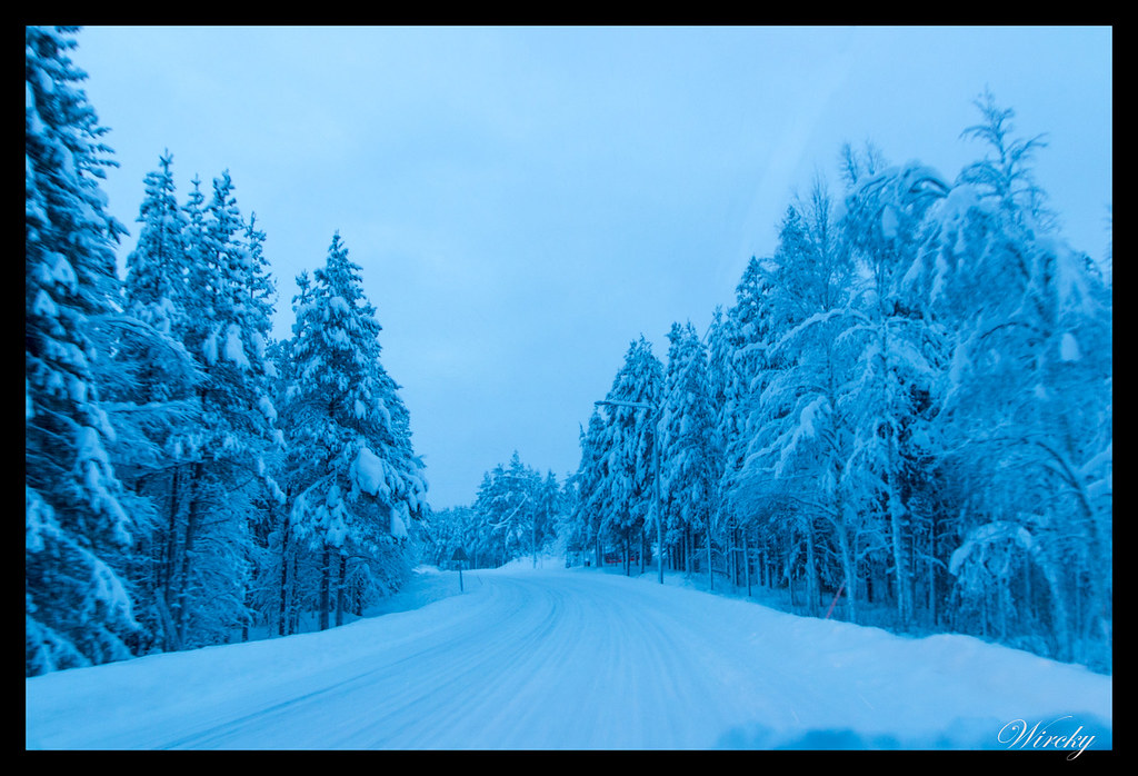 Bosques nevados en Kolari, Laponia finlandesa