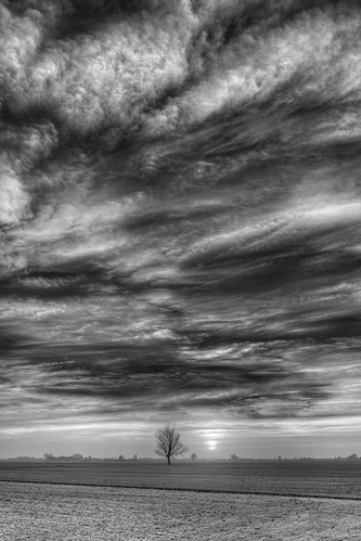 Lonely Tree at Sunset II - Castelnovo di Sotto, Reggio Emilia, Italy - February 20, 2022 by G.Galeotti, Handheld HDR