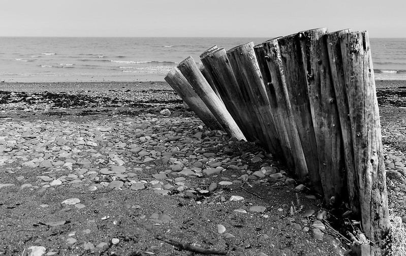 « Brouilleur de marée » - Circuit photo, Noir et blanc - Daniel Aubry - G6+ Photographie - 57e - 74,26