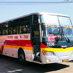 Victory Liner 7036