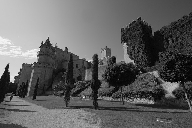 XE3F9104 - Castillo de Olite - Castle of Olite (Navarra)