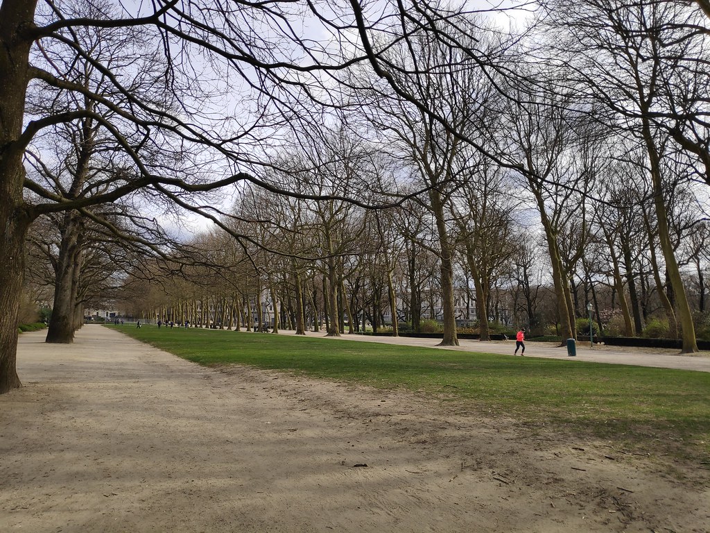 Caminos para correr en el parque