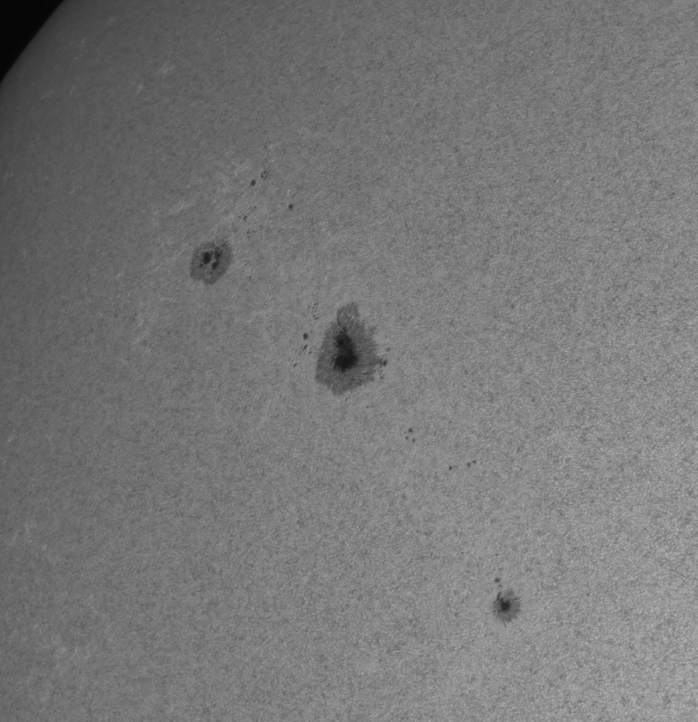 Sunspots AR2975 and AR2976