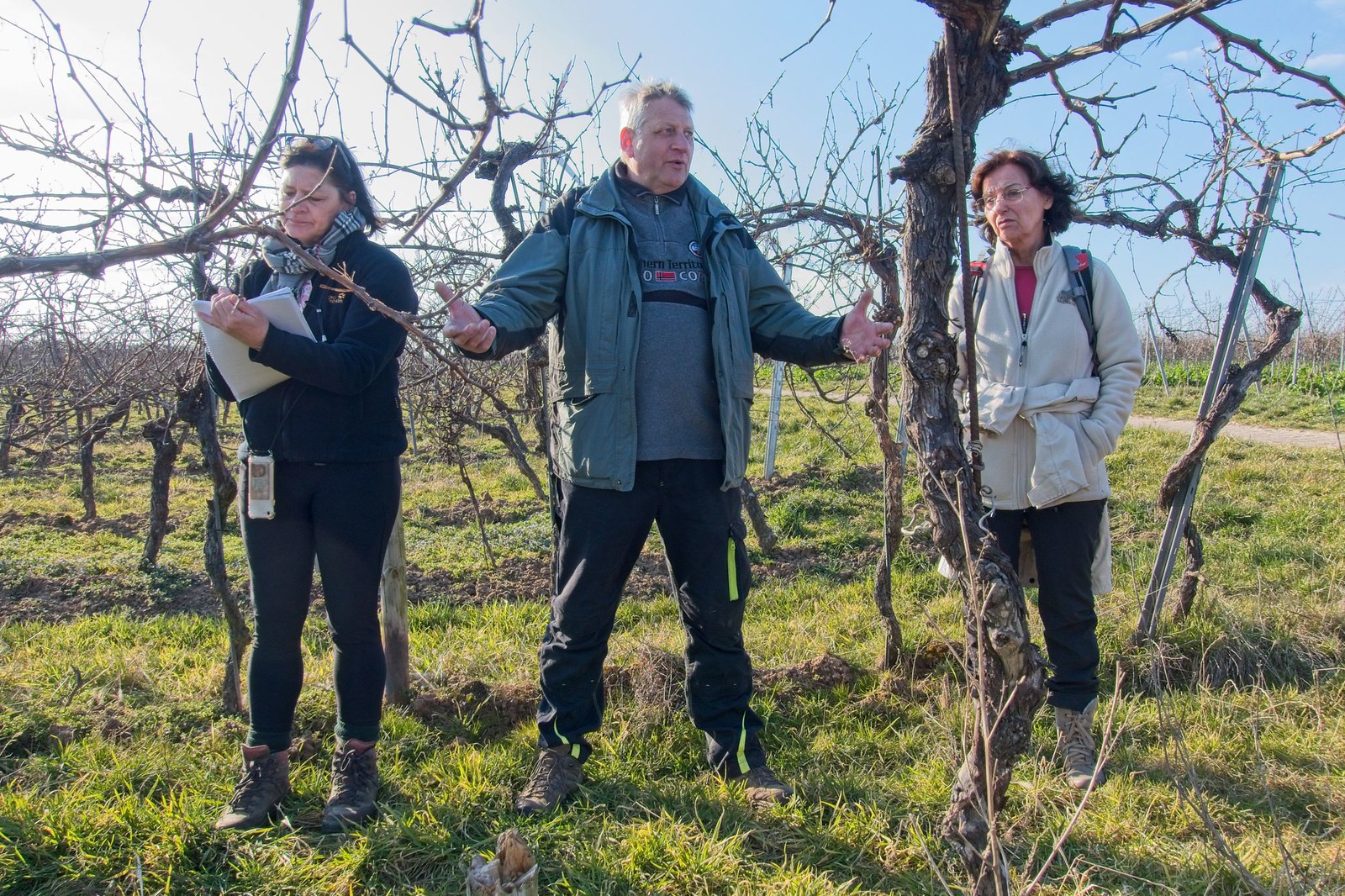 Kultur- und Weinbotschafter Rheinhessen: Wir können Wingert