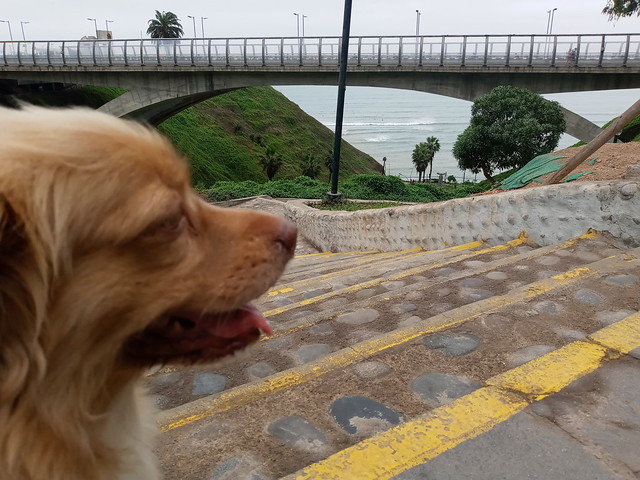 Lima - Puente Eduardo Villena Rey