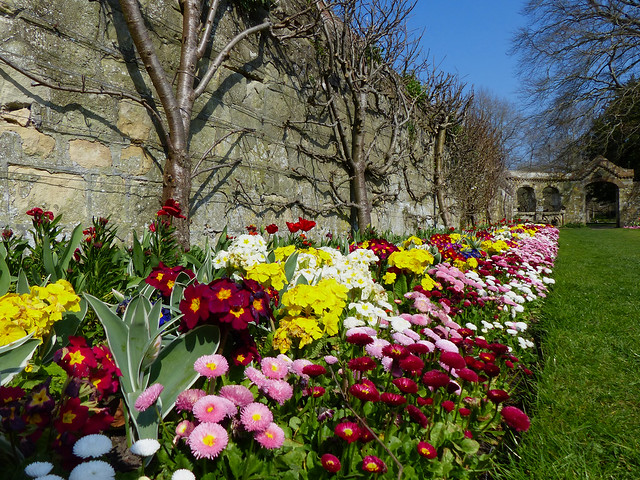 Southover Spring Display