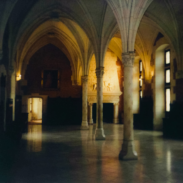 Salle du Conseil (35mm film) | Château d'Amboise, Loire Valley, France