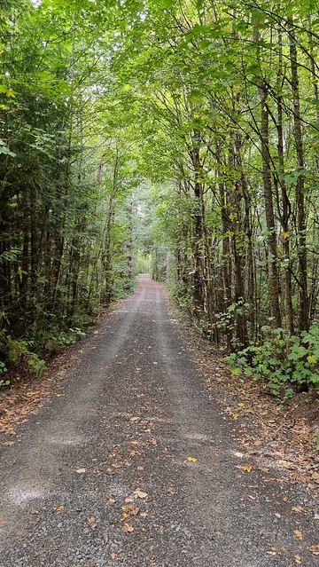 Hanmer Springs Forest Trails