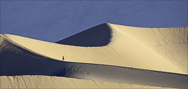 Sand-Dune Hiker