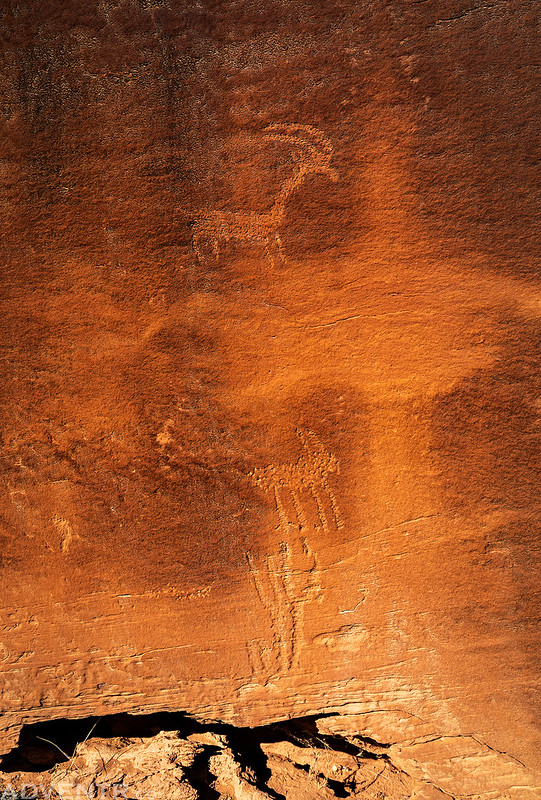 Small Petroglyph Panel