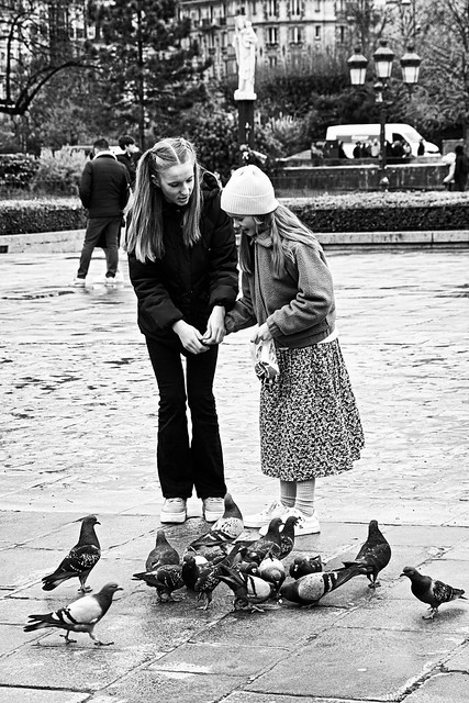Les jeunes filles aux pigeons Paris 2022