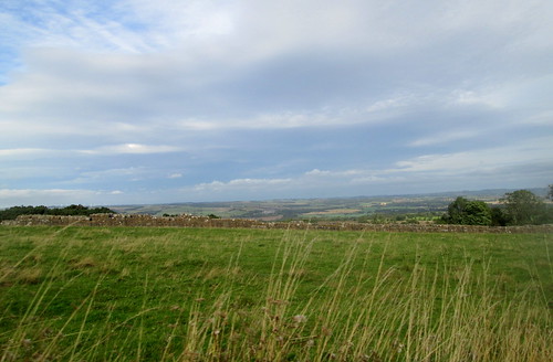 Remains of Hadrian's Wall