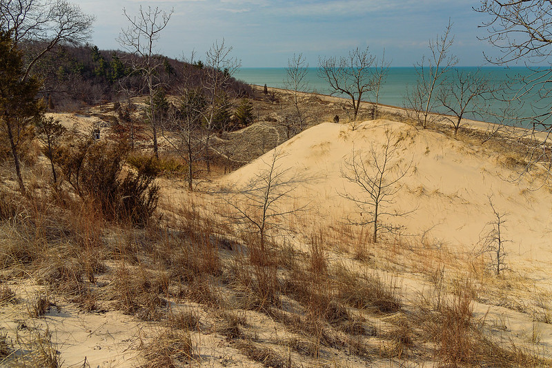 The Other Side of the Dune