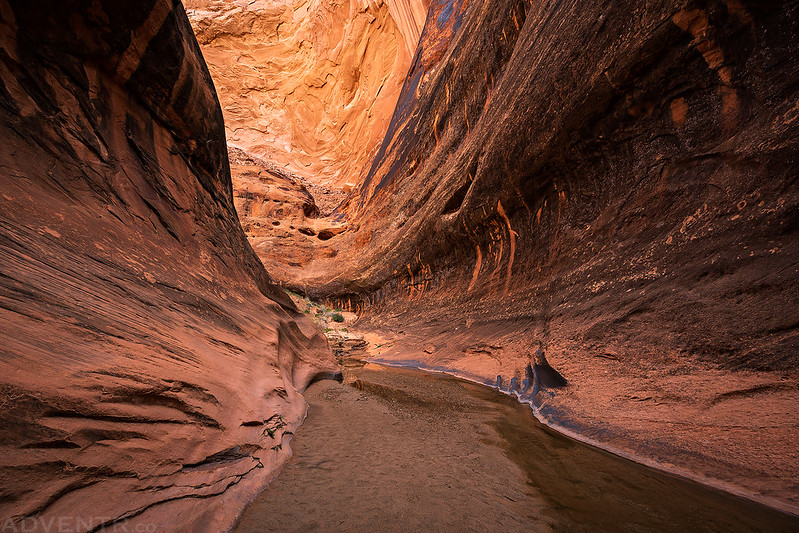 Halls Creek Narrows VI