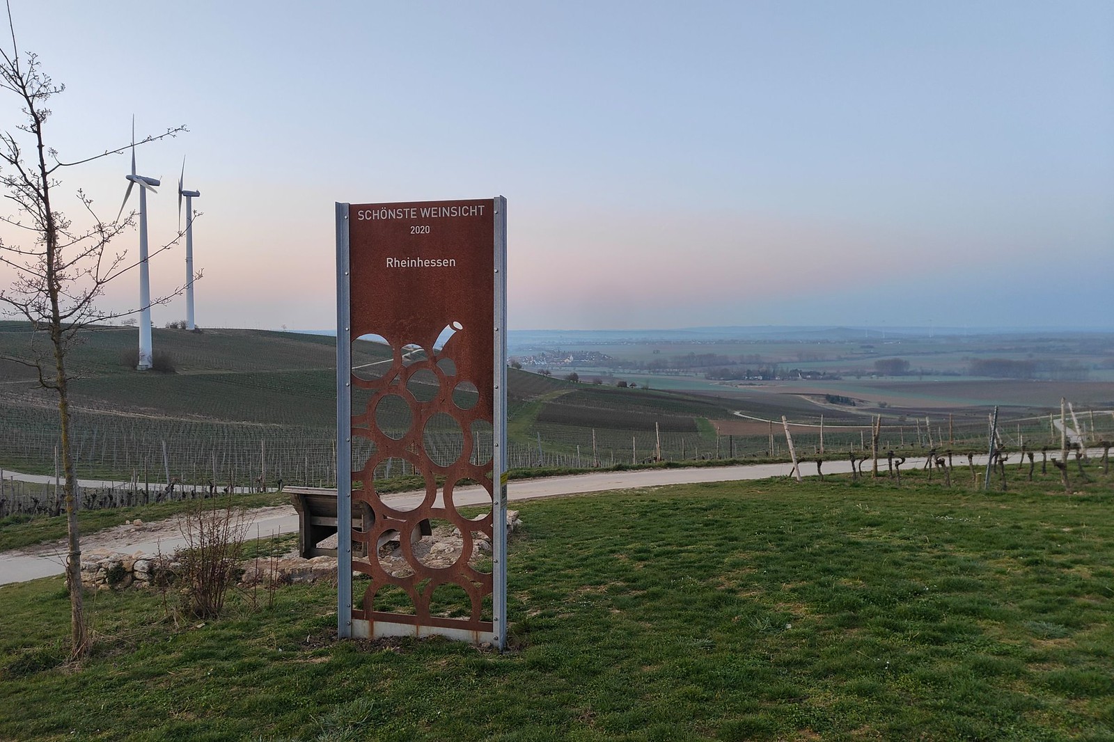 Schönste Weinsicht 2020 Rheinhessen