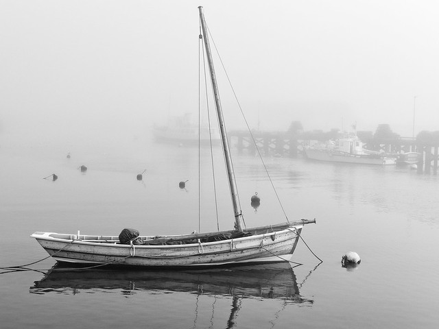 Harbour mist