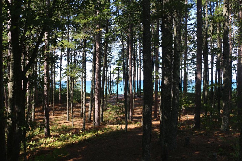 View of Lake Superior through the pines at the Beaver Creek Campsite in Pictured Rocks National Lakeshore