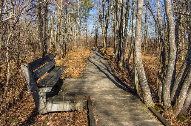 Boardwalk and Bench