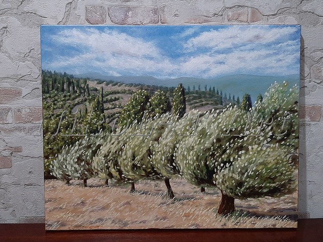 Olive Fields of Tuscany 2020