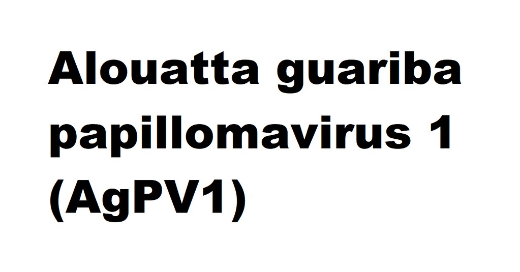 Alouatta guariba papillomavirus 1 (AgPV1) (Dyoomikronpapillomavirus Dyoomikronpapillomavirus 1)