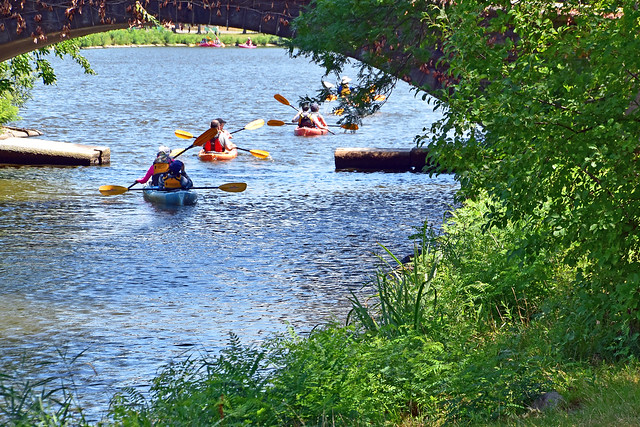 Kayaks in a Line