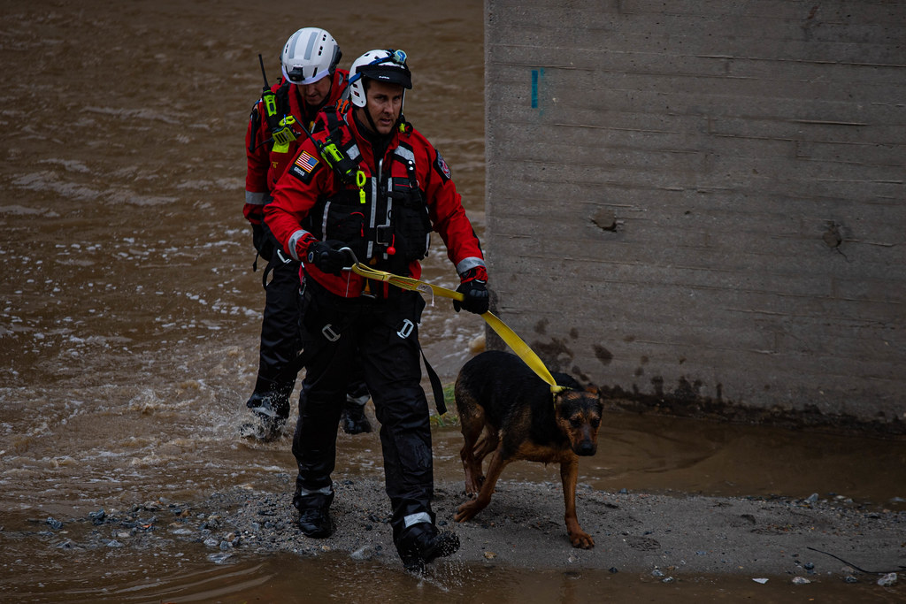 Three Rescues in LA River