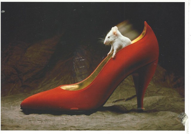 Mouse in Heels