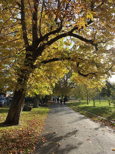Autumn in Clissold park, London