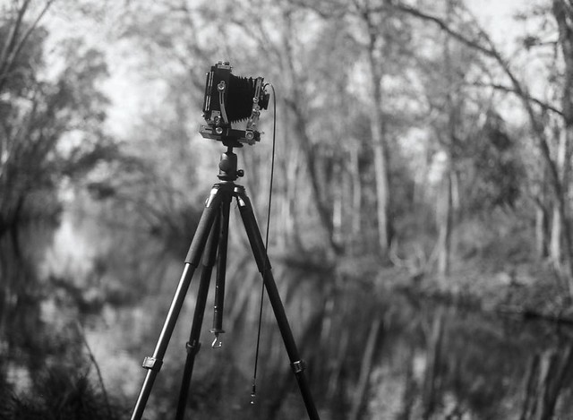 The Tachihara 4x5 Field Camera At Jean Lafitte Nat'l Park