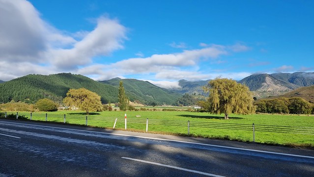 On the road to Blenheim