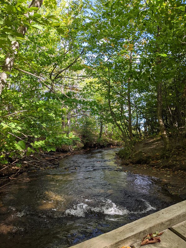 Spray Creek from the wooden bridge on the North Country Trail in Pictured Rocks National Lakeshore