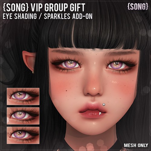 {S0NG} Eye Shading / Sparkle - VIP Gift