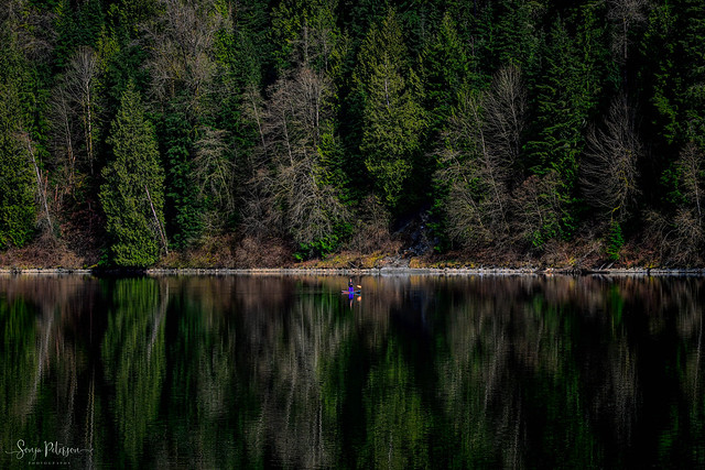 Hayward Lake Reflections