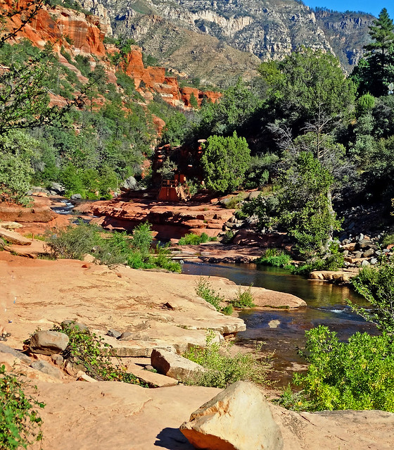 Arizona's Oak Creek Canyon 5-15