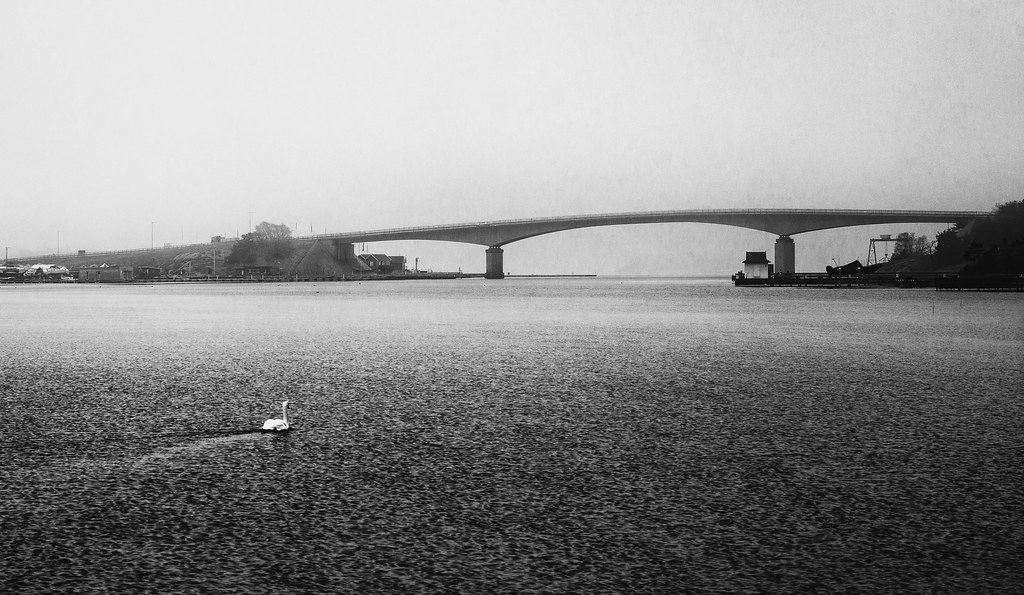 Stenungsöbron Bridge in fog