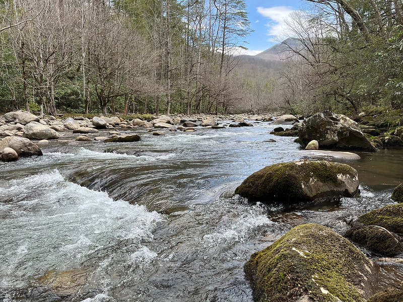 Smoky Mountains Retreat: Solitude by the Little Pigeon River