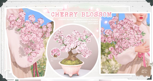 Cherry Blossoms . Ariskea . FaMESHed
