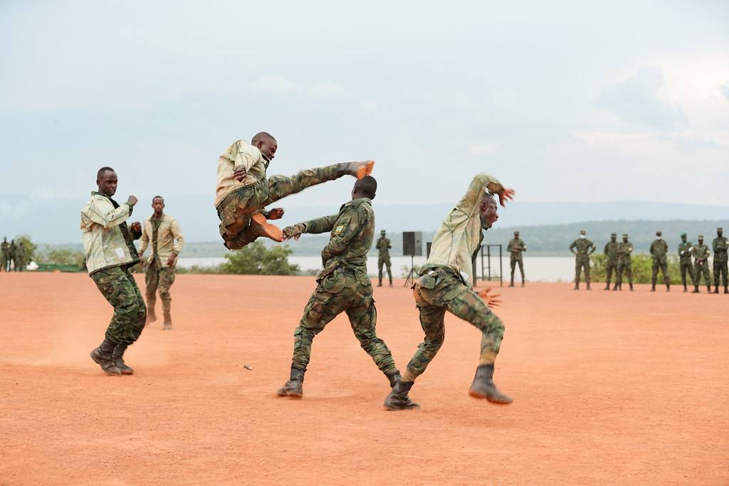 Rdf Commandos RDF Officers and other ranks complete Advanced Infantry Tr… | Flickr