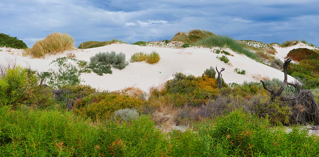 pinaroo dunes