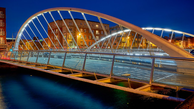 James Joyce Bridge (from the other side)