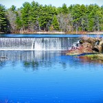 Forge Pond spring...