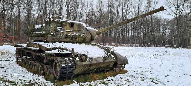 Der kleine Panzer am Waldrand