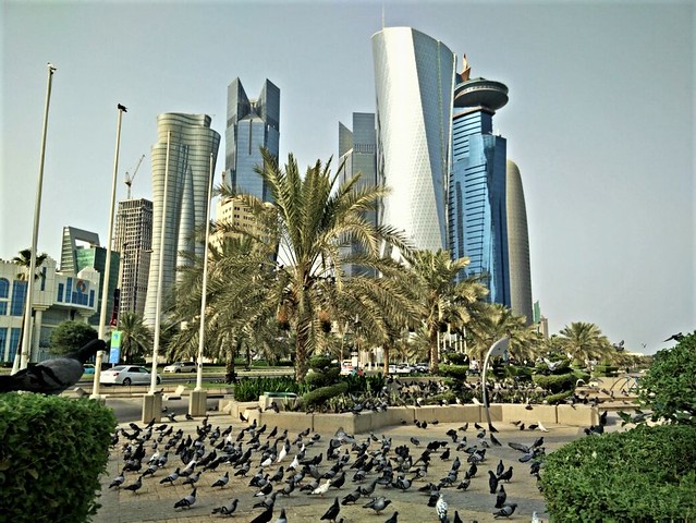 a city of pigeons