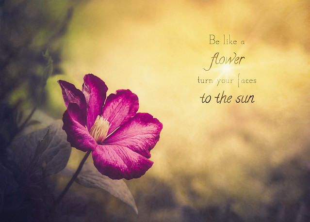 Be like a flower...