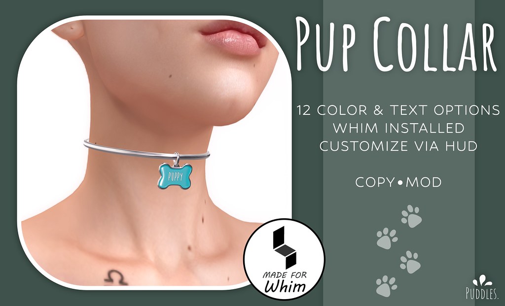 Pup Collar.