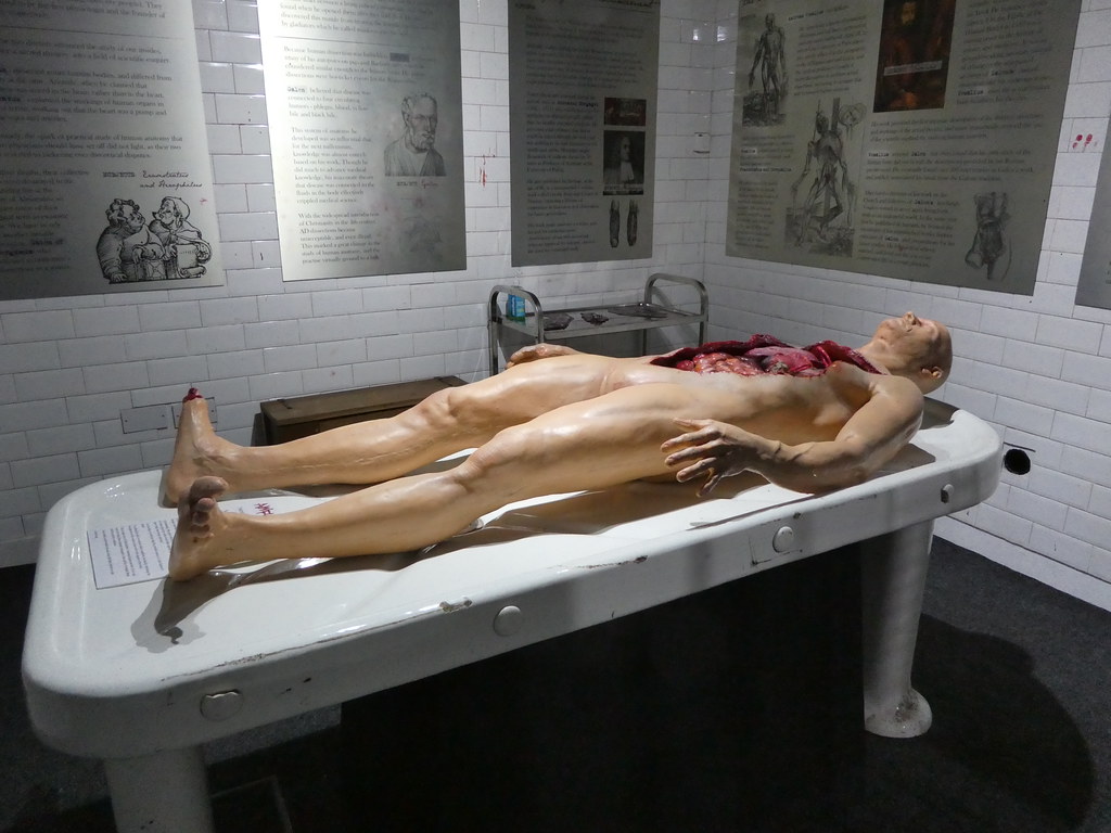 The gory post-mortem room at Sick to Death, Chester