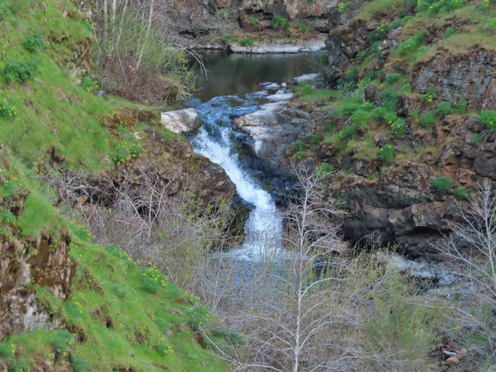 Falls on Silvas Creek