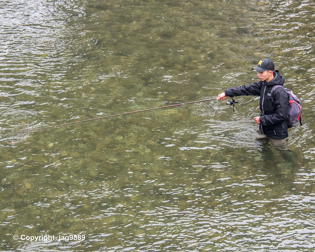 Fly Fishing in the Saane River,  Laupen, Canton of Bern, Switzerland